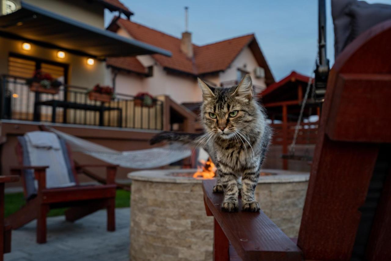 Roots Villa Redwood Braşov Dış mekan fotoğraf